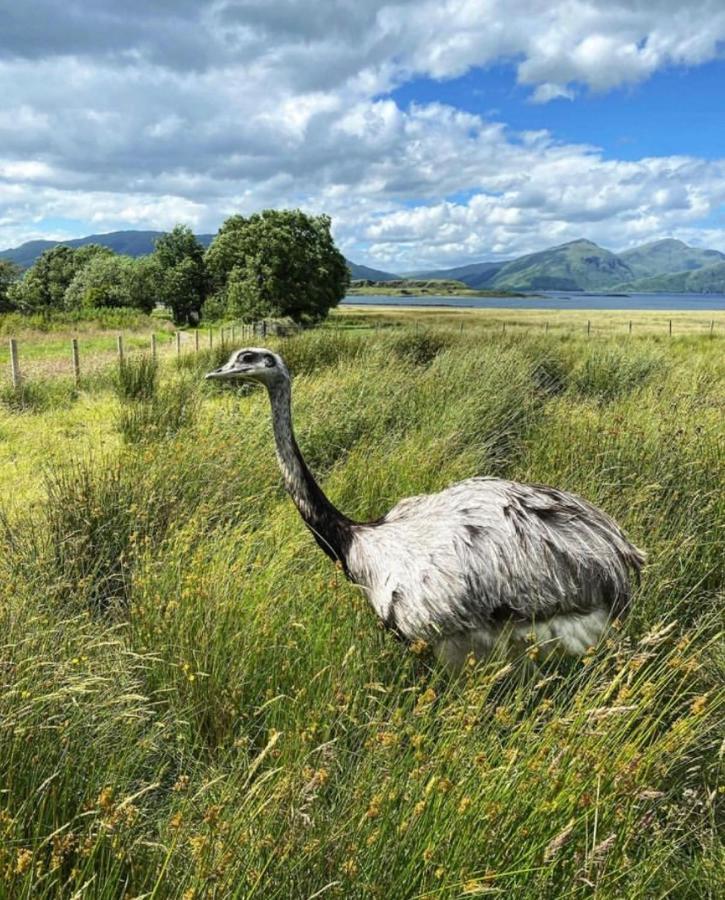 Sealladh Villa Port Appin Exteriör bild